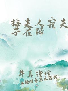 梅夫人宠夫日常子夜归