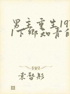 男主重生1971下乡知青的小说