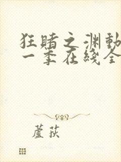 狂赌之渊动漫第一季在线全集免费观看