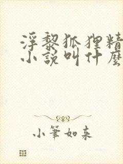 浮黎狐狸精原著小说叫什么