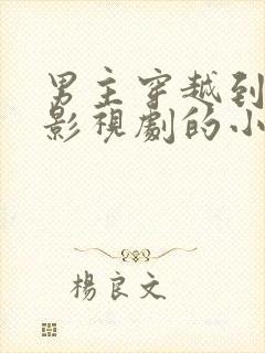 男主穿越到各种影视剧的小说