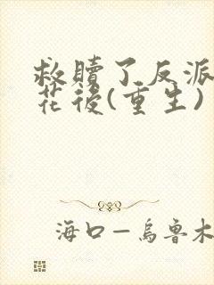 救赎了反派黑莲花后(重生)