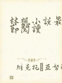林枫小说最新章节阅读