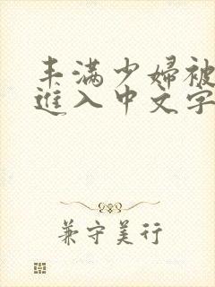 丰满少妇被猛烈进入中文字幕