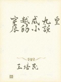 穿越成九皇子路辰的小说