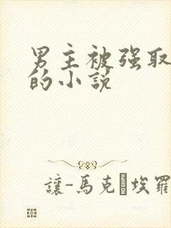 男主被强取豪夺的小说