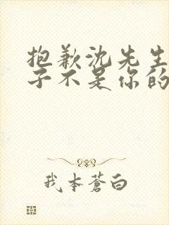 抱歉沈先生,孩子不是你的短剧合集