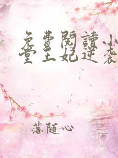 免费阅读小说下堂王妃逆袭记