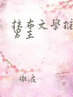 抹布文学推荐双男主