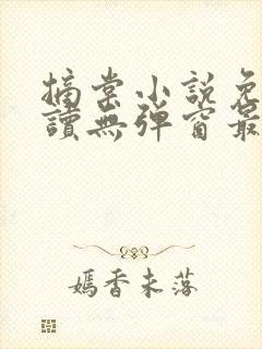 摘棠小说免费阅读无弹窗最新章节