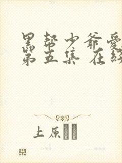 黑帮少爷爱上我第五集 在线观看