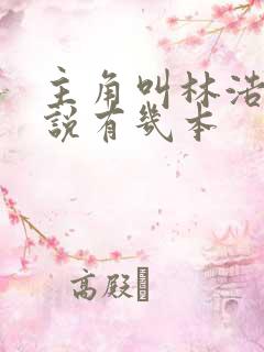 主角叫林浩的小说有几本