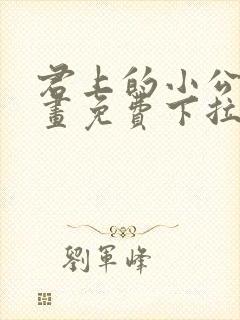 君上的小公主漫画免费下拉式漫画