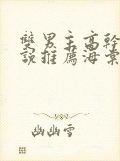 双男主高干文小说推荐海棠