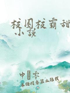 校园校霸甜宠文 小说