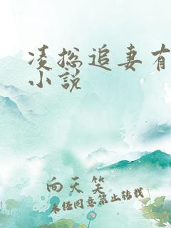 凌总追妻有点甜小说