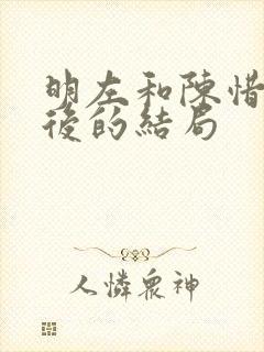 明左和陈惜墨最后的结局