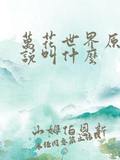 万花世界原著小说叫什么