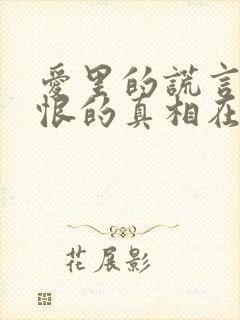 爱里的谎言,仇恨的真相在线观看