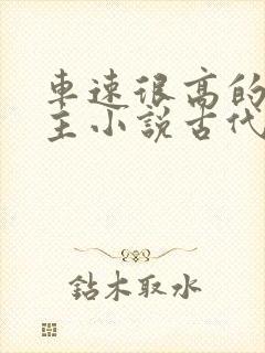 车速很高的双男主小说古代