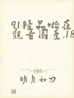 91精品啪在线观看国产.18