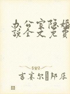 办公室隐婚的小说全文免费阅读晋江