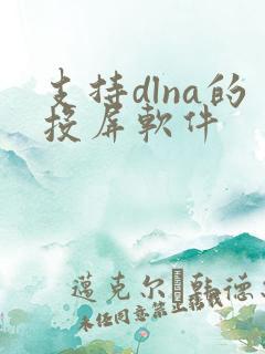 支持dlna的投屏软件