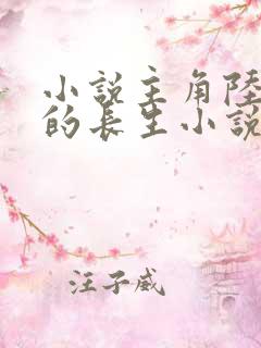 小说主角陆长生的长生小说