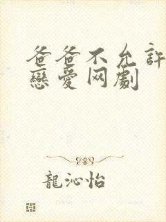 爸爸不允许我谈恋爱网剧