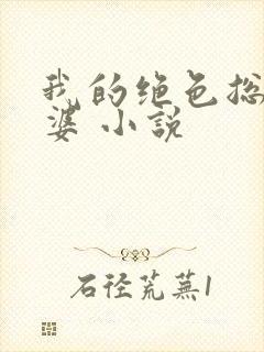 我的绝色总裁老婆 小说