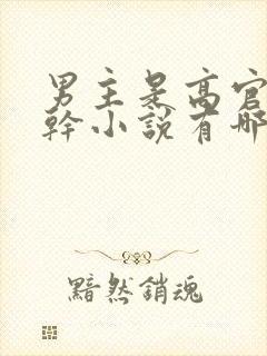 男主是高官的高干小说有哪些