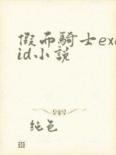 假面骑士exaid小说