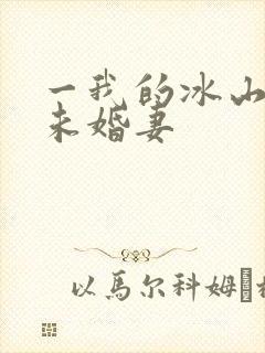 一我的冰山总裁未婚妻