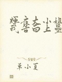 辉夜大小姐想让我告白上垒