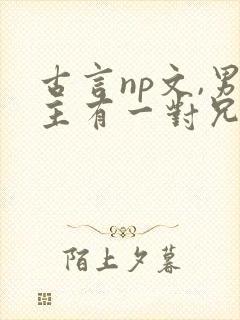 古言np文,男主有一对兄弟姓冷的小说