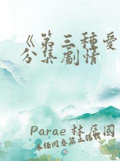 《第三种爱情》分集剧情