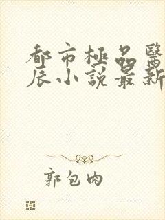 都市极品医神叶辰小说最新章节