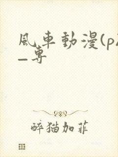 风车动漫(p)_专