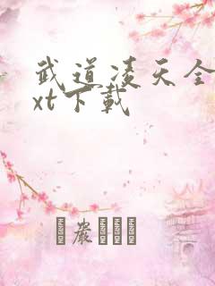 武道凌天全本txt下载