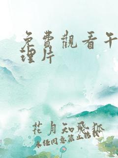 免费观看午夜伦理片