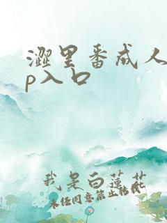 涩里番成人app入口