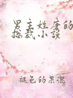 男主姓唐的霸道总裁小说