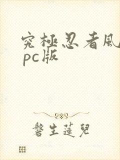 究极忍者风暴4 pc版