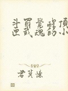 斗罗觉醒顶级剑匣武魂的小说