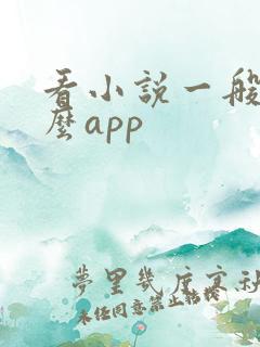 看小说一般用什么app