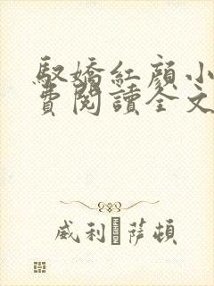 驭娇红颜小说免费阅读全文