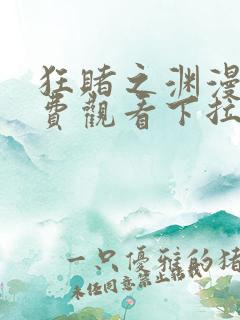 狂赌之渊漫画免费观看下拉式六漫画