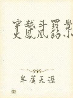 穿越斗罗觉醒邪火凤凰的小说