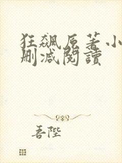 狂飙原著小说无删减阅读