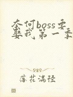 奈何boss要娶我第一季高清